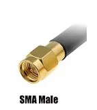 SMA male