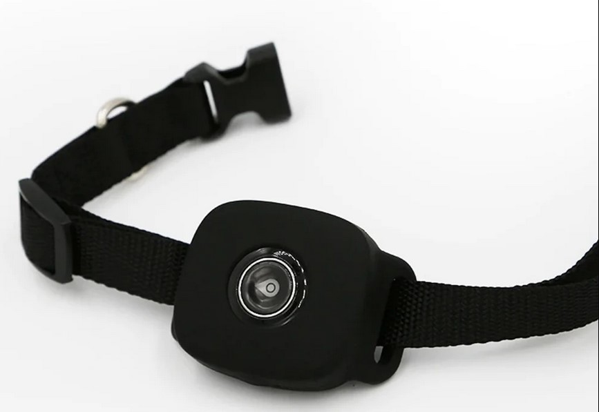 Wonlex PT03 GPS Tracker